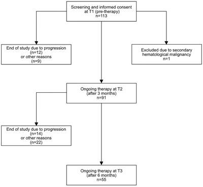Impact of novel agent therapies on immune cell subsets and infectious complications in patients with relapsed/refractory multiple myeloma